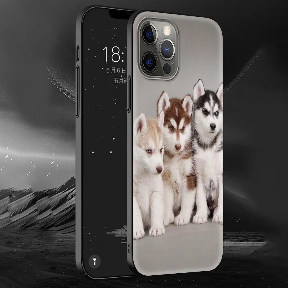 

Siberian Husky Silicone Soft Phone Case for iPhone 12 11 Pro MAX 8 7 XS XR X 6 6S Plus XS MAX SE 2020 Luxury Coque Shell