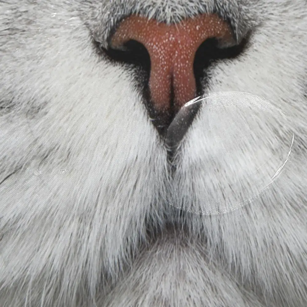 Занавеска для душа с изображением питомца персидского кота котенка занавеска