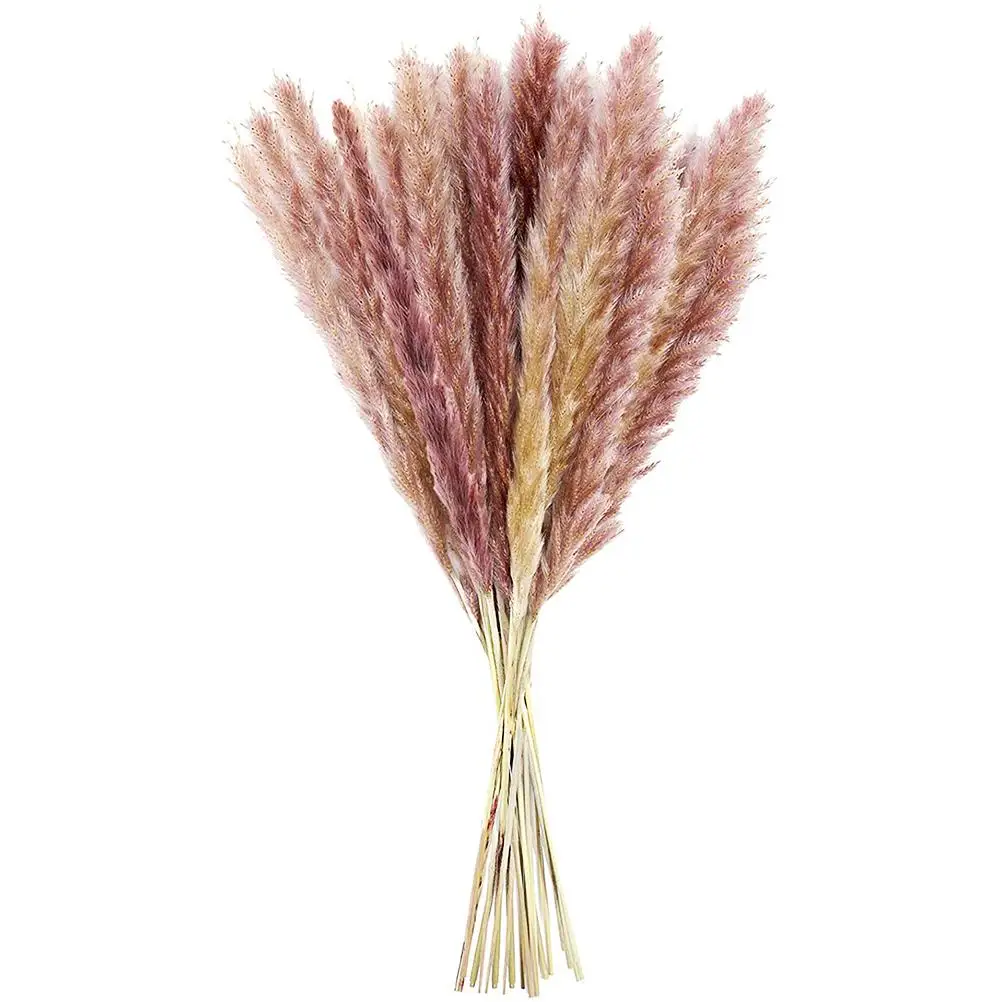 

15PCS Dried Pampas Grass Decorative Dried Flowers 55cm Dried Flowers Bouquet for Home Office Wedding Decoration