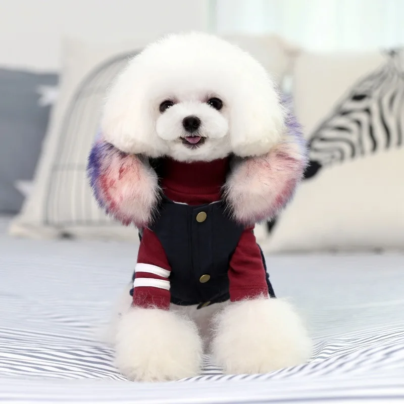 

Модная куртка для собак, зимний теплый комбинезон для щенков, свитер для маленьких собак, толстовка с капюшоном для бульдога шнауцера, Пряма...