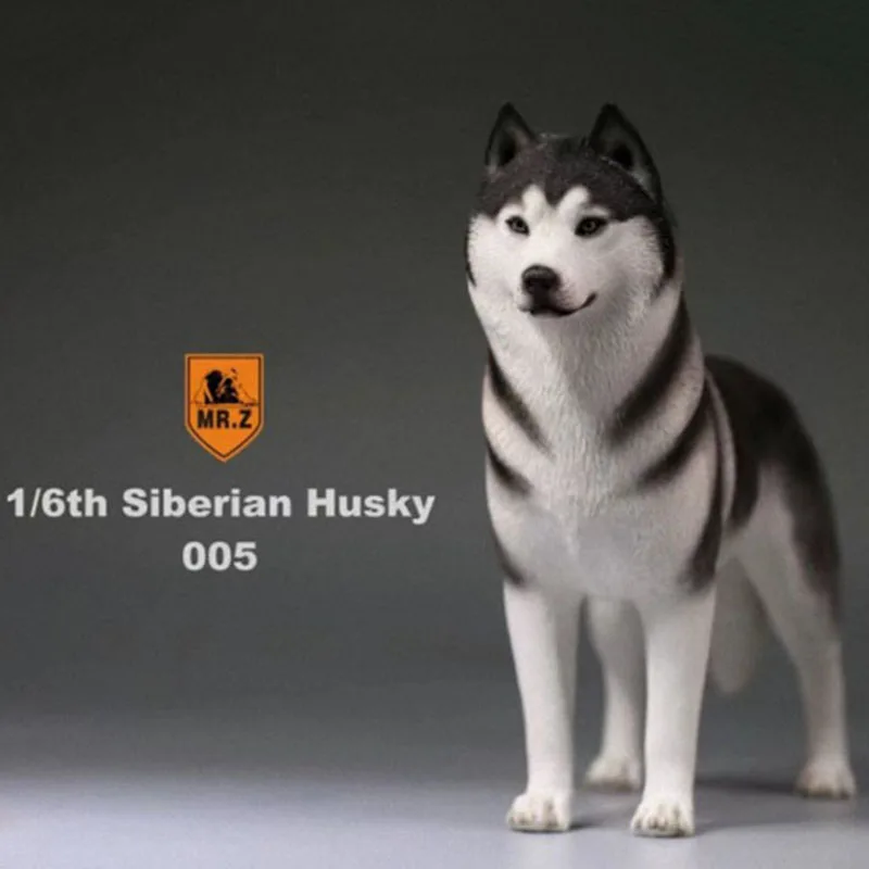 

1/6 Scale Mr.Z Husky Siberian Husky Simulation Animal Dog Model Toy For 12' Action figure PARTS Home Car Decoration BOYS toys
