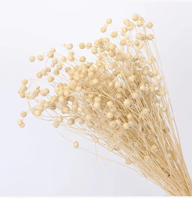 

DIY Perpetual Living Room Gradient Lagurus Ovatus Wedding Christmas Home Decoration Flores Real Dried Flower Bouquet