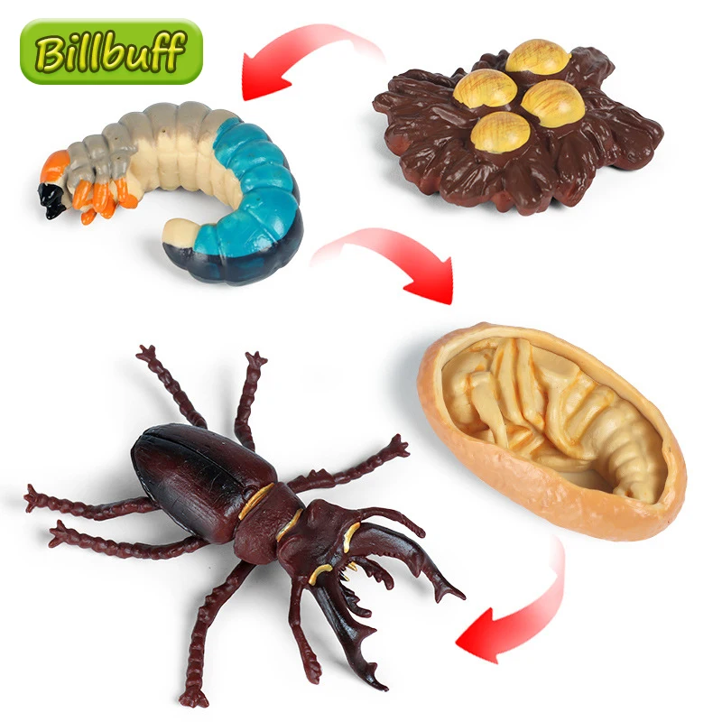 

New 4pcs/set Insect Animal Model Simulation Growth Cycle Action Figures Collect Miniature Cognition Educational Toy for children
