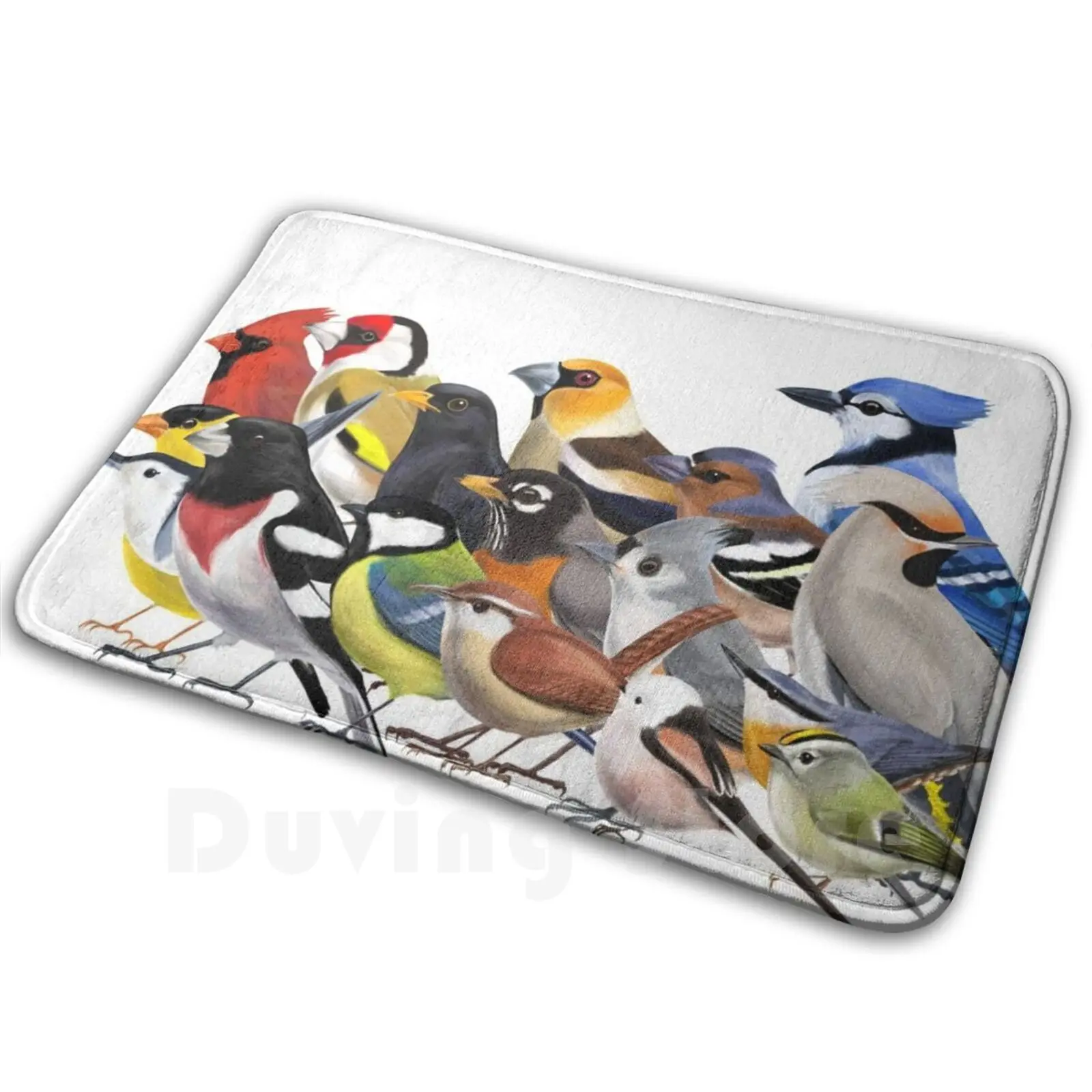 

Year Of The Bird - Birds Of North America And Europe Mat Rug Carpet Anti-Slip Floor Mats Bedroom Bird Birding Ornithology Nature