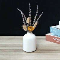 ceramic frosted vase hydroponics dried flower small vase living room decoration table decoration vase