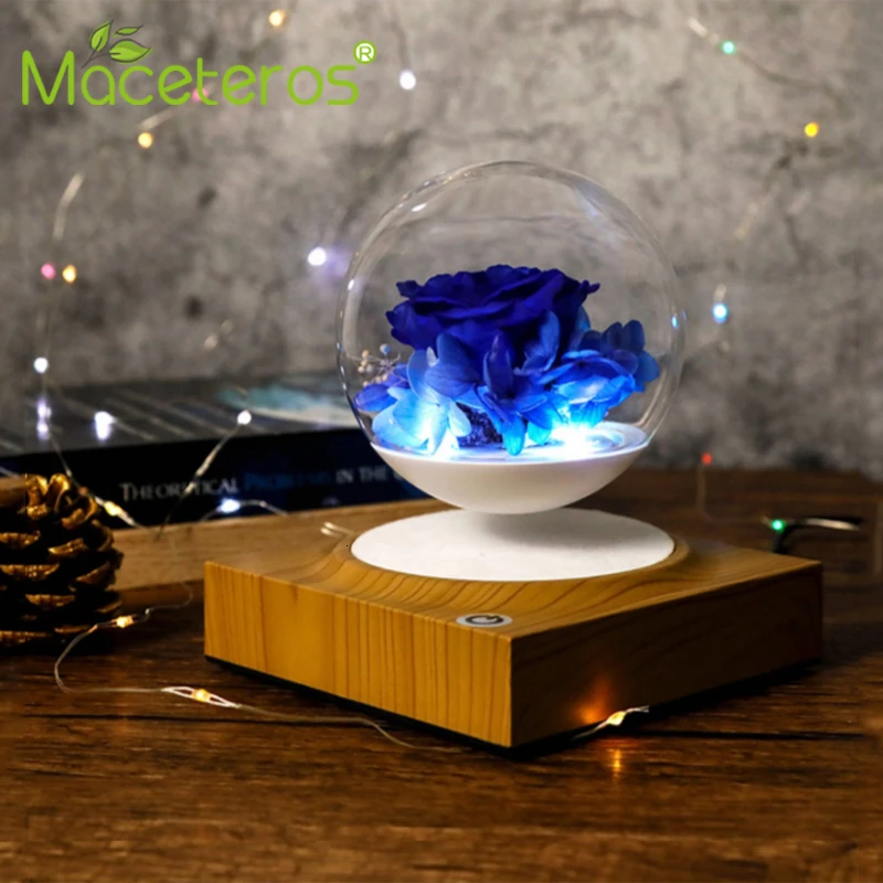 

MACETEPOS Gardening Magnetic Levitation Flower Pot Plant Floating Air Bonsai Tree Bonsai Beautiful Birthday Gift Desk Decoration