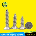 Винты с защитой от взлома, винты с плоской головкой, Самонарезающий винт Torx с защитой от кражи, защитный винт из нержавеющей стали 304