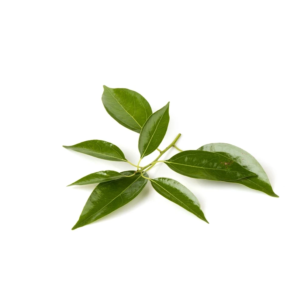 Известный бренд oroaroma натуральное ароматерапевтическое масло камфоры