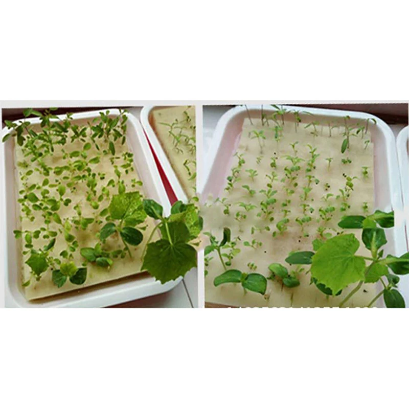 

100pcs Cultivation Seedlings Vegetables Plant Nursery Sponges Soilless Hydroponics Sponge Home Garden Supplies