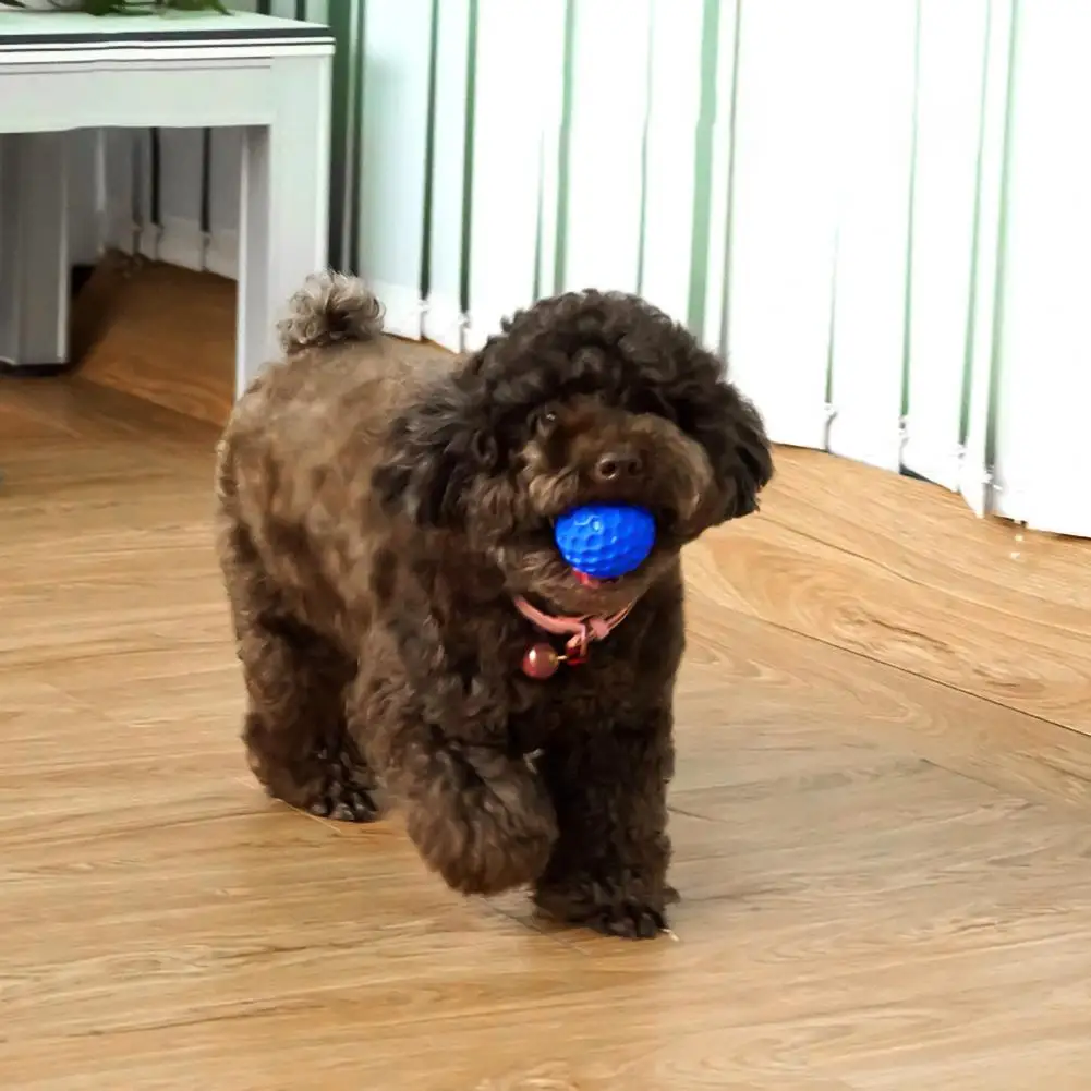 

Pets Sounding Ball Training Teeth Cleaning Molar Dog Toy Interactive Supplies