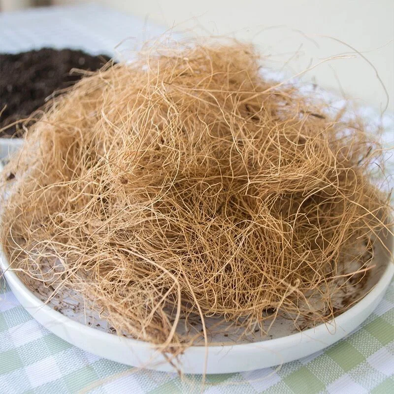 

Coconut Husk Fiber Orchids Crafts Pet Bedding Insect-proof Protect Plants Maintain Soil Temperature SDF-SHIP