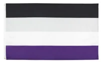 Urijk 90x150 см LGBTQIA Ace Community несексуальность Asexuality Asexual Pride Flag|Флаги баннеры и
