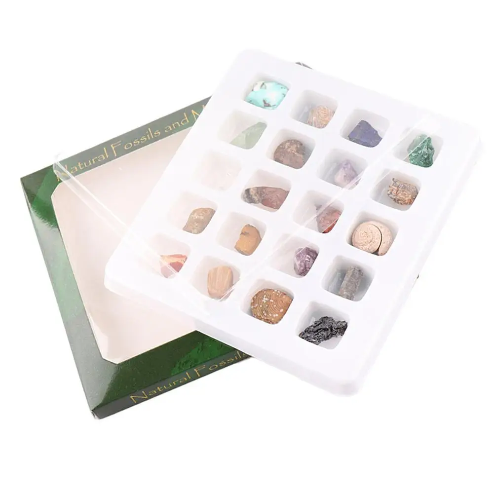 20 шт./компл. окаменелости руды набор орнамент натуральный камень ремесло