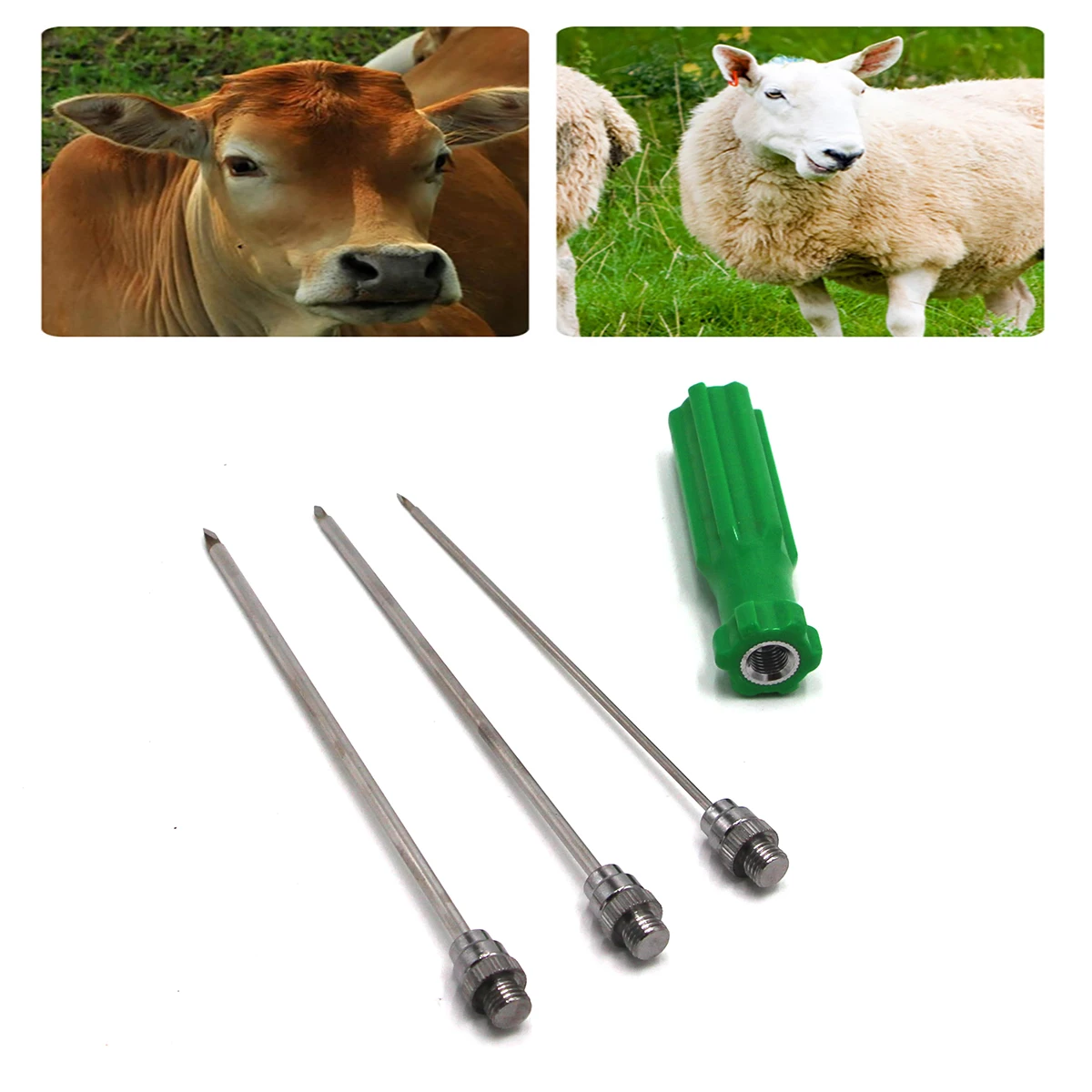 Выхлоп из нержавеющей стали 1 шт.|Клетки и аксессуары| |