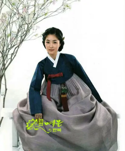 Ханбок платье на заказ Корейский Традиционный женский корейский ханбок