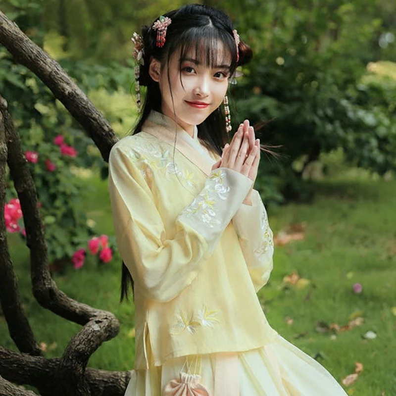 

2019 New Chinese Traditional Hanfu Women Tang Improved Han Element Skirt Vintage Costume Ancient Hanfu Fairy Folk Dress SL1392