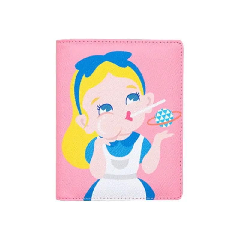 Bentoy держатель для паспорта с героями мультфильмов девочек Снежная принцесса ID