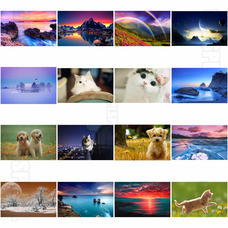 

Diamond Painting Scenery Animals Cute Pet Dog Beautiful Seascape Endless Mountains and Pink Flowers Rainbow Home Decor Pictures