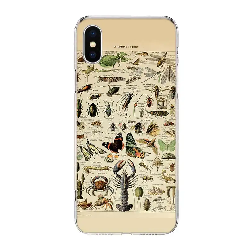 

Vintage animal Vegetable Fruit Mushroom Phone Case Cover For iPhone 11 12 Pro 7 6 X 8 6S Plus XS X MAX + XR 5S SE Mini Art TPU C