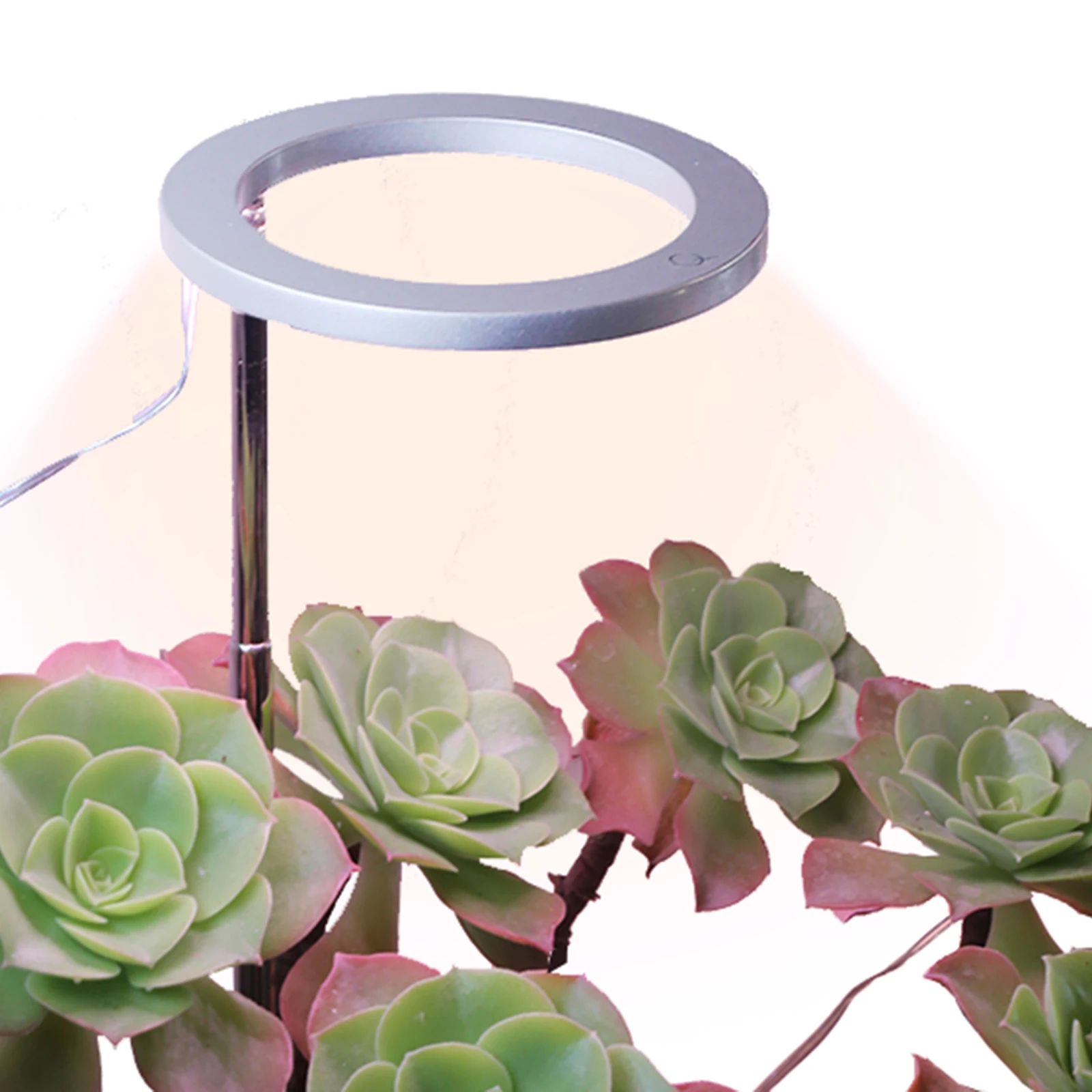 

Home Plants Grow Light Full Spectrum Small Growth Light Height Adjustable Ring Light for Indoor Plants