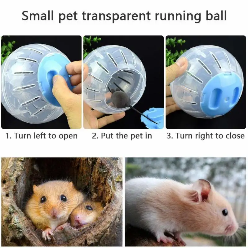 Shipping Within 12-24 Hours Hot Sale Hamster Color Cover Running Ball Pet Plastic Fitness Toy | Дом и сад
