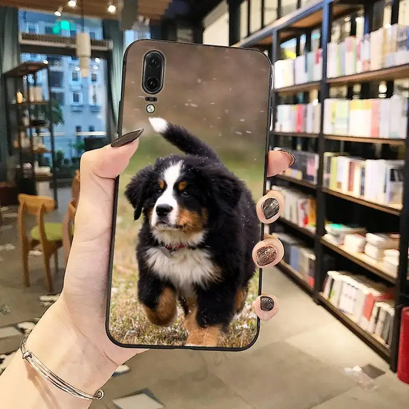 

Bernese Mountain Dog Phone Case For Huawei honor Mate P 10 20 30 40 i 9 8 pro x Lite smart 2019 nova 5t