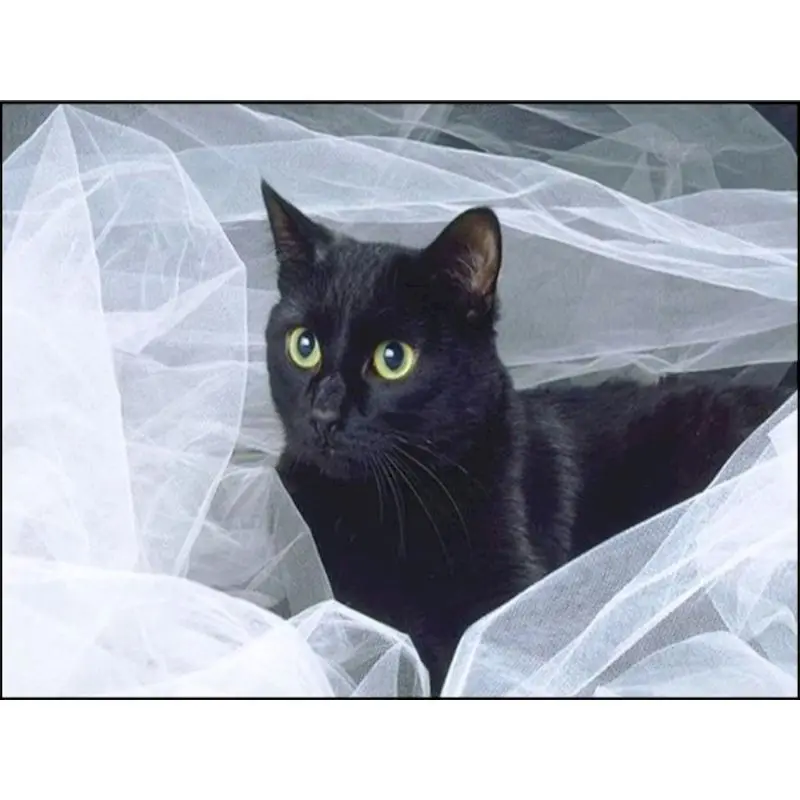 

GATYZTORY 5D Diamond Painting Black Cat Fly Cross Stitch Animals Mosaic Embroidery Full Set Rhinestone Pictures Decoration Home
