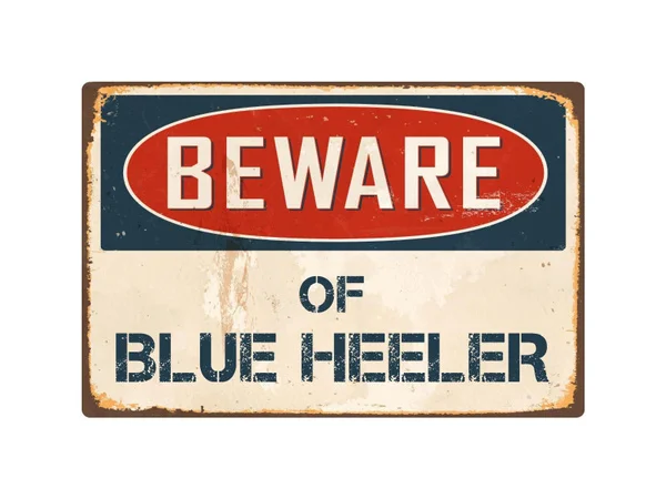 

Fashion Metal Poster Beware Of Blue Heeler Vintage Retro Metal Sign