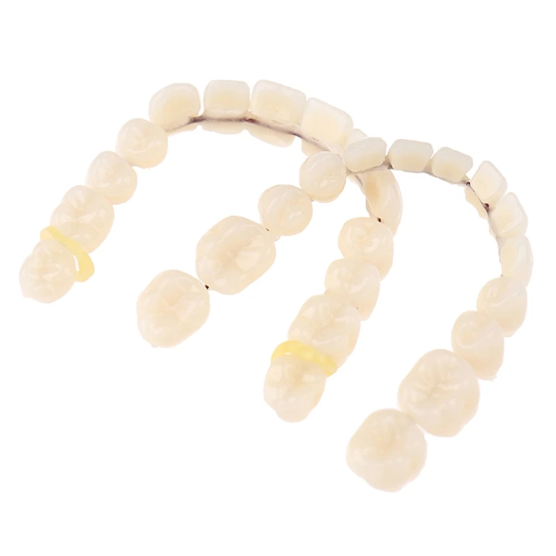 

Y1UF Resin Teeth Denture Upper Lower Shade Artificial Preformed Dentition Oral Care