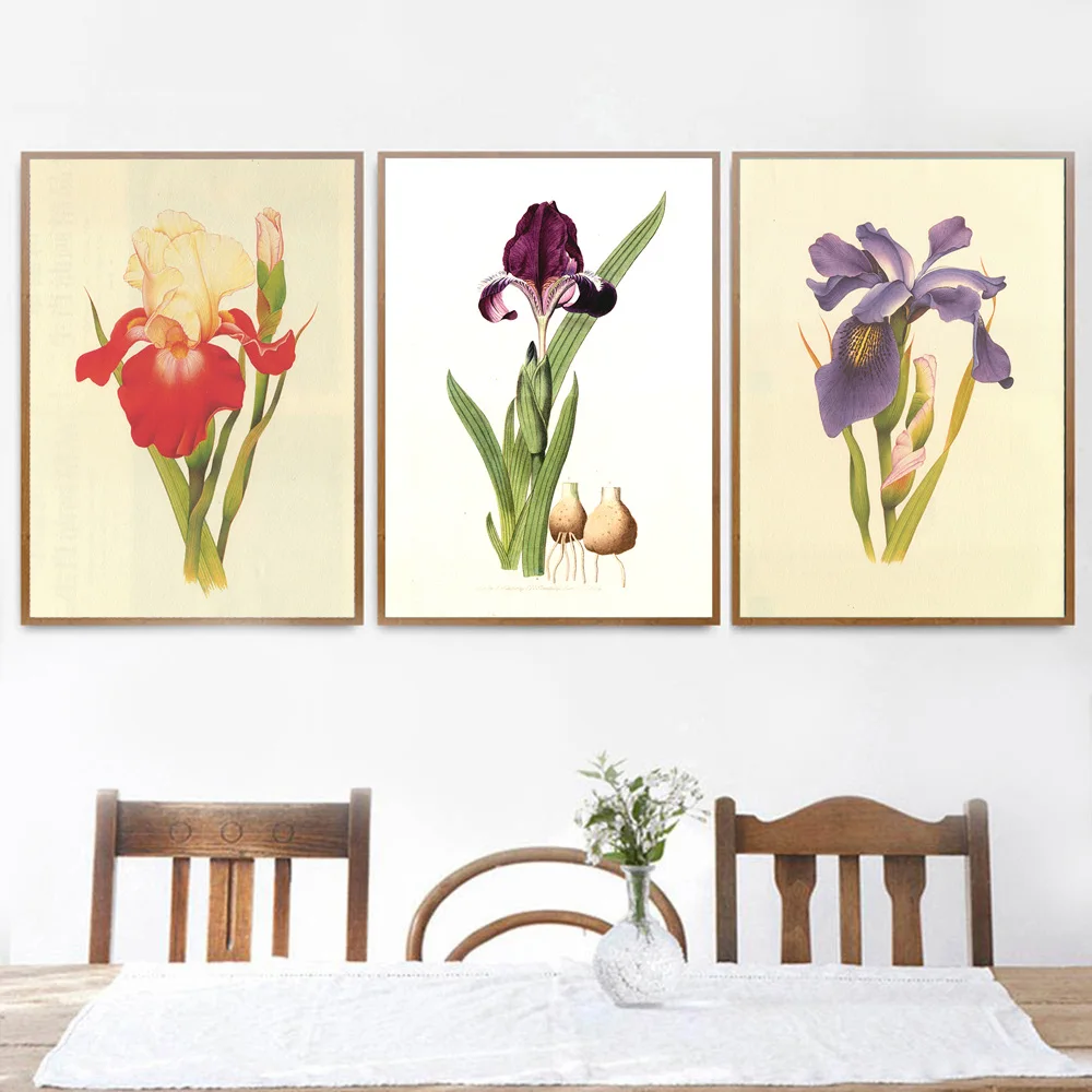 

Watercolor Lris Germanica Flower Plants Wall Art Canvas Painting Nordic Posters and Prints Wall Pictures for Living Room Decor