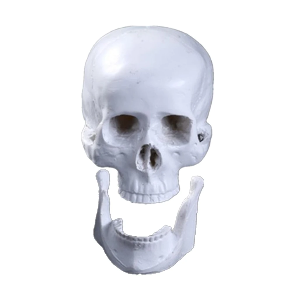 

New Halloween Resin Skull Figurine Skeleton Head Decor Crafts Collectibles