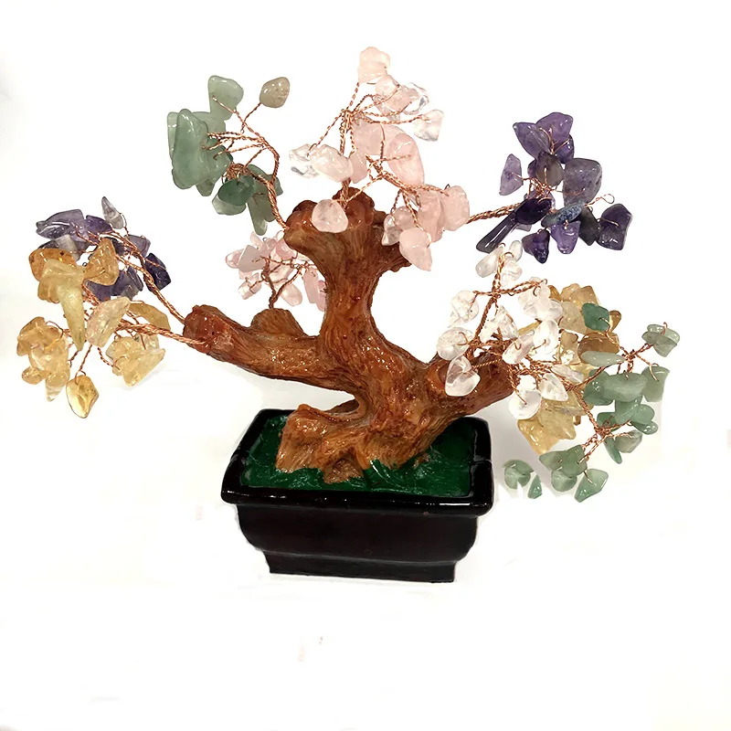 С натуральными кристаллами гравия денежное дерево pachirabmacrocarpa Рисование денег для