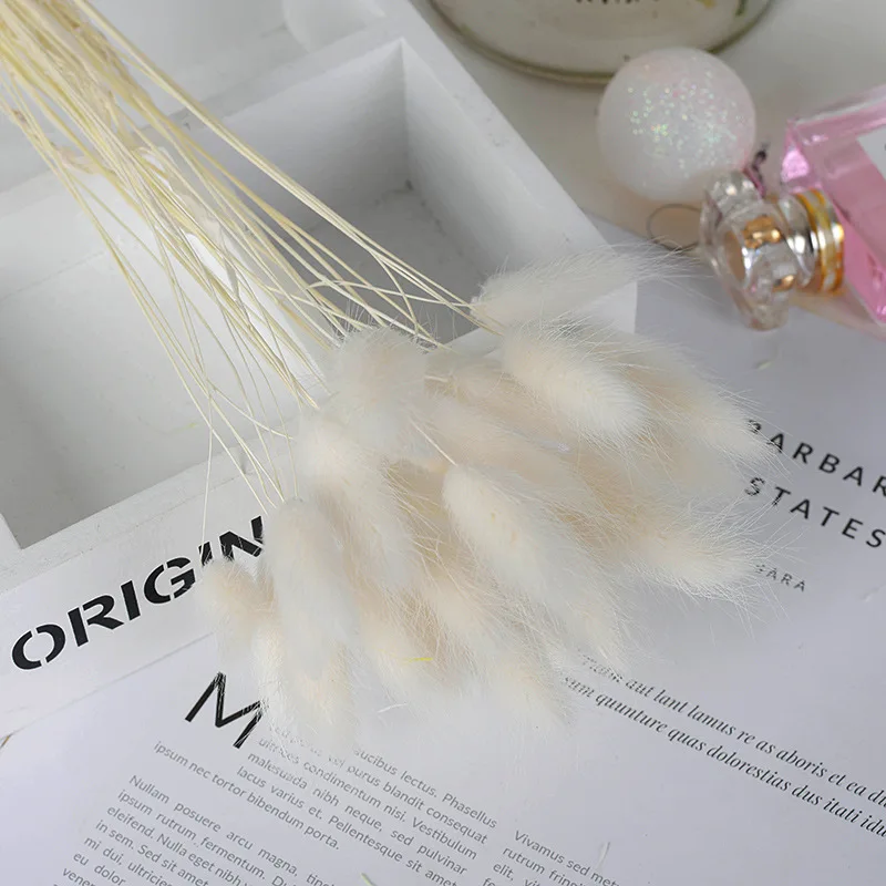 

Natural Dried Flowers Bouquet Wedding Home Easter Decorations Rabbit Tail Grass Real Flowers Wedding DIY Accessories