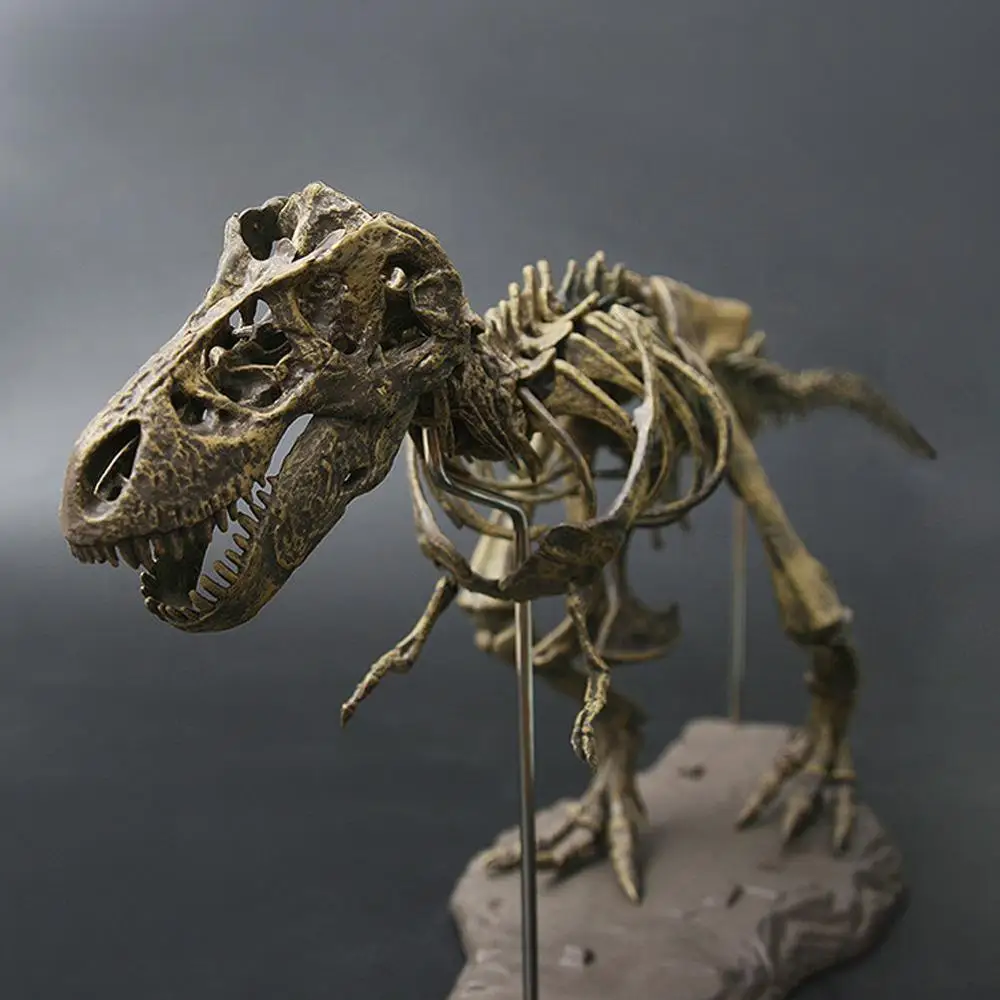 Динозавр 4D собранный скелет динозавра детская игрушка Overlord Dragon Fossil Скелет