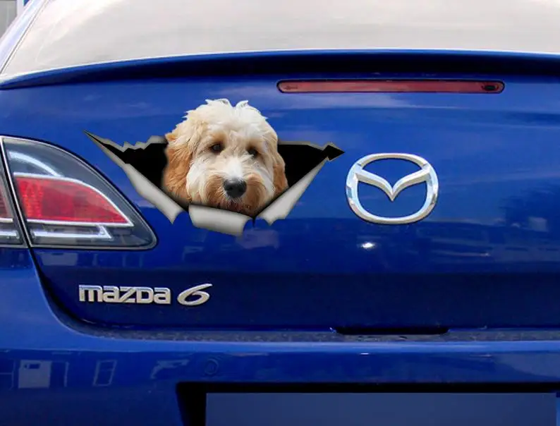 

2021 White Goldendoodle car decal, 3D sticker , pet decal, dog decal