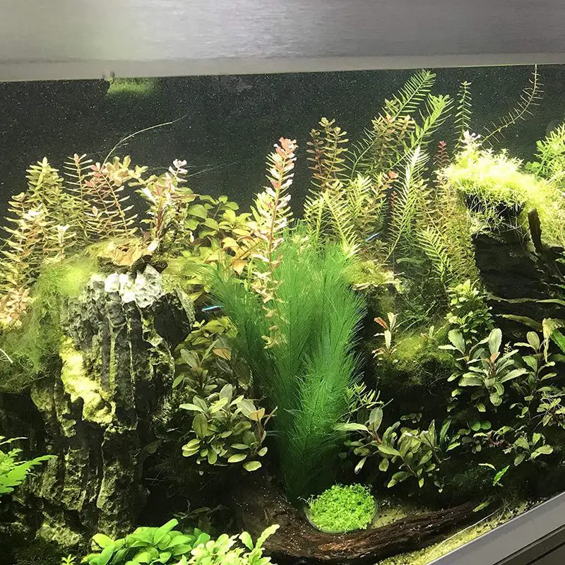 

Aquarium Decorations Fish Tank Artificial Green Water Plants Made Of Silk Fabrics Plastic, Non-Toxic And Safe For All Fish And P