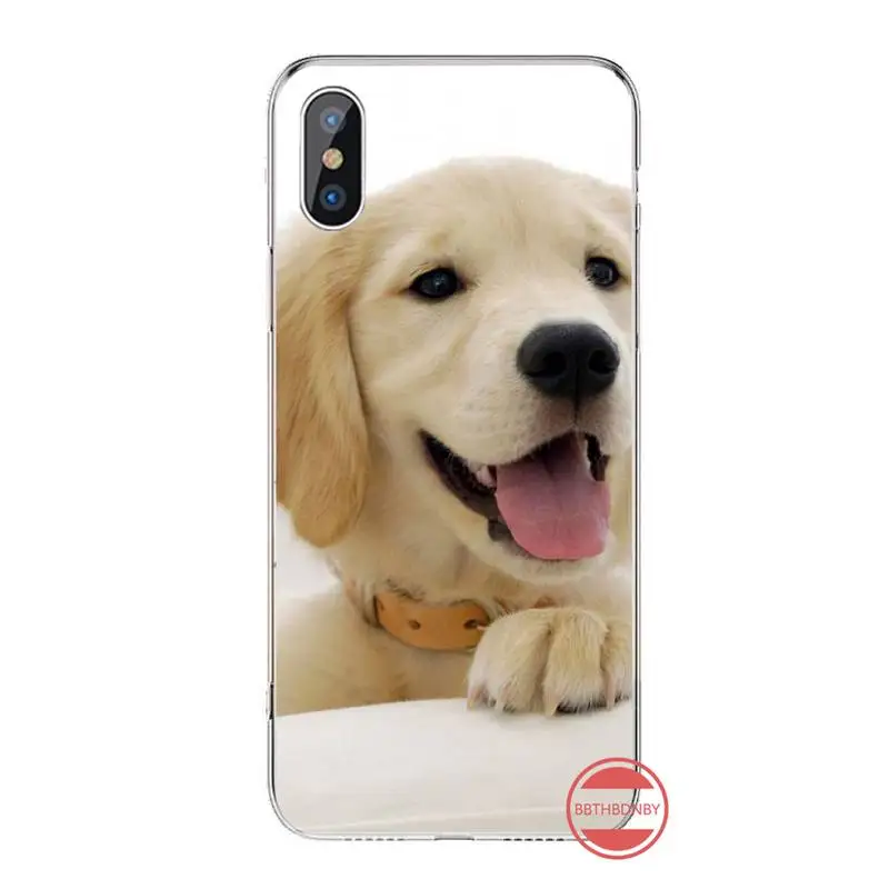 

Golden retriever dog cute Phone Case For iphone 12 5 5s 5c se 6 6s 7 8 plus x xs xr 11 pro max mini