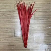 100pcslot red lady amherst pheasant feathers 24 28 inch60 70cm party carnival craft jewelry plume