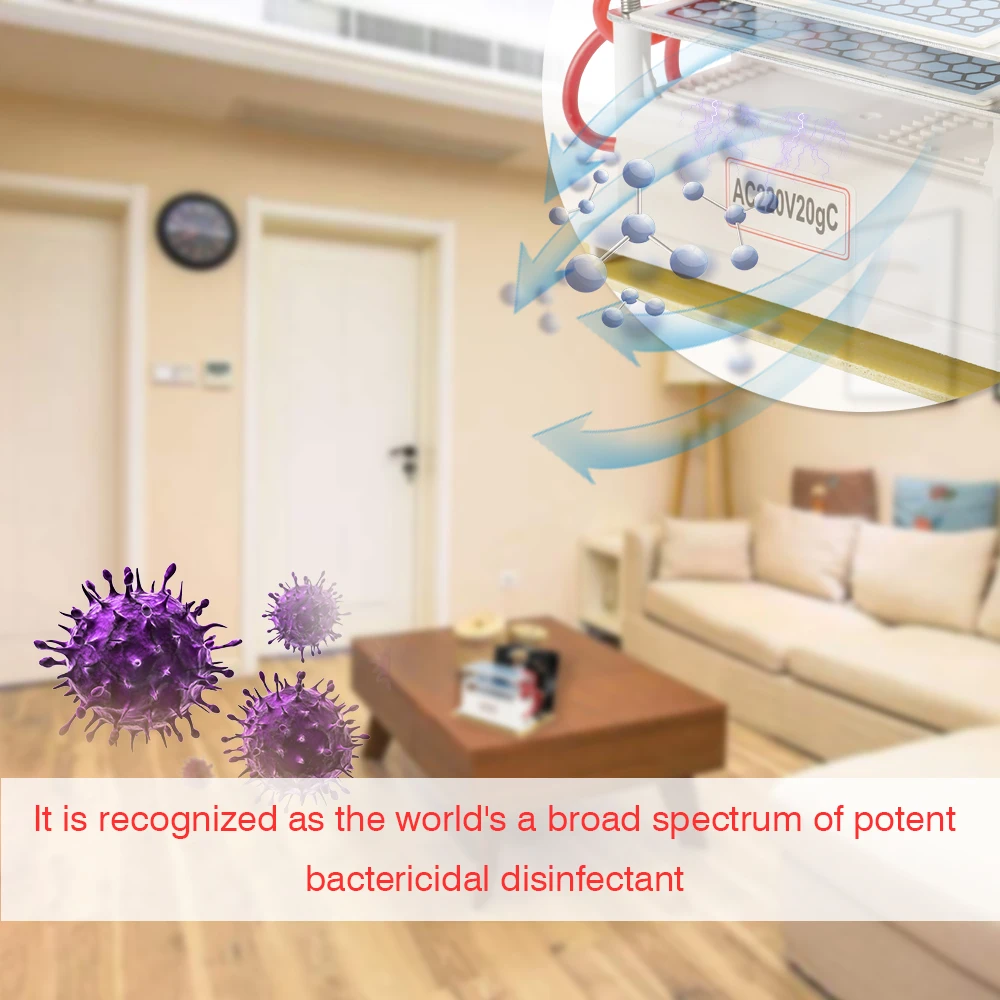 

Portable Ceramic Ozone Generator Double Integrated Long Service Life Plate Ozonizer Air Water Purifier 20g 110V/220V