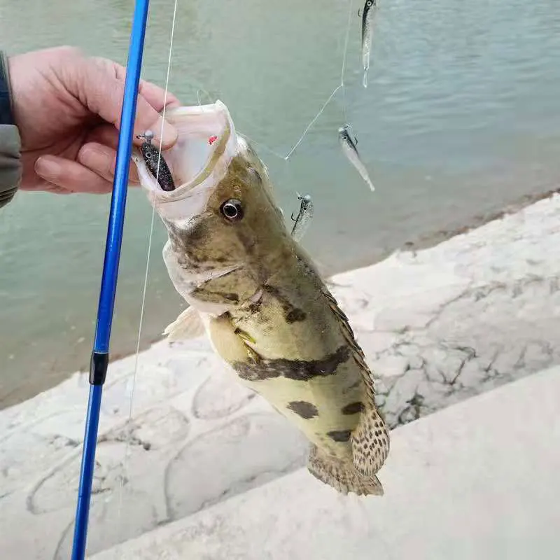 Мягкая рыболовная приманка AS Cluster воблер с Т-образным хвостом металлическая рыба