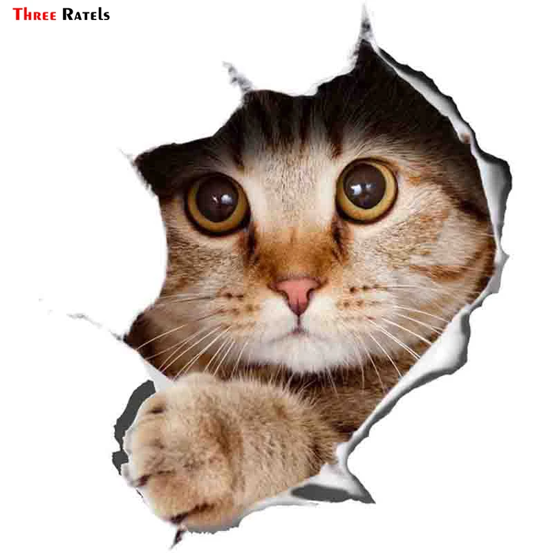 

Three Ratels FTC-1038 Global Decals 3d Cat Stickers Peeking Sticker PVC Skateboard Luggage Motorcycle Guitar Kid Vsco Sticke