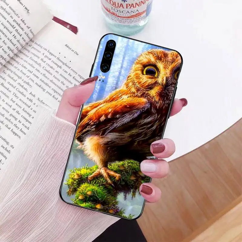 NBDRUICAI милый чехол с изображением совы черный мягкий для телефона Huawei Honor 20 10 9 8 8x 8c