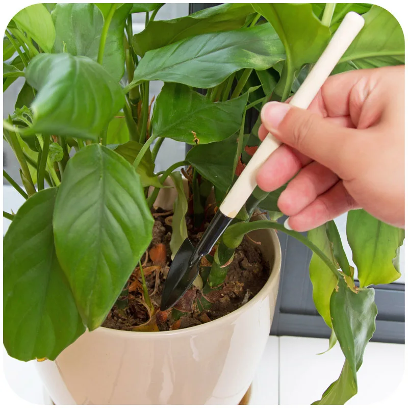 

Mini Garden Bonsai Tools Kit Spade Shovel Harrow Set Hand Tools Set Potted Plants Maintenance Suit With Wooden 3pcs/Set