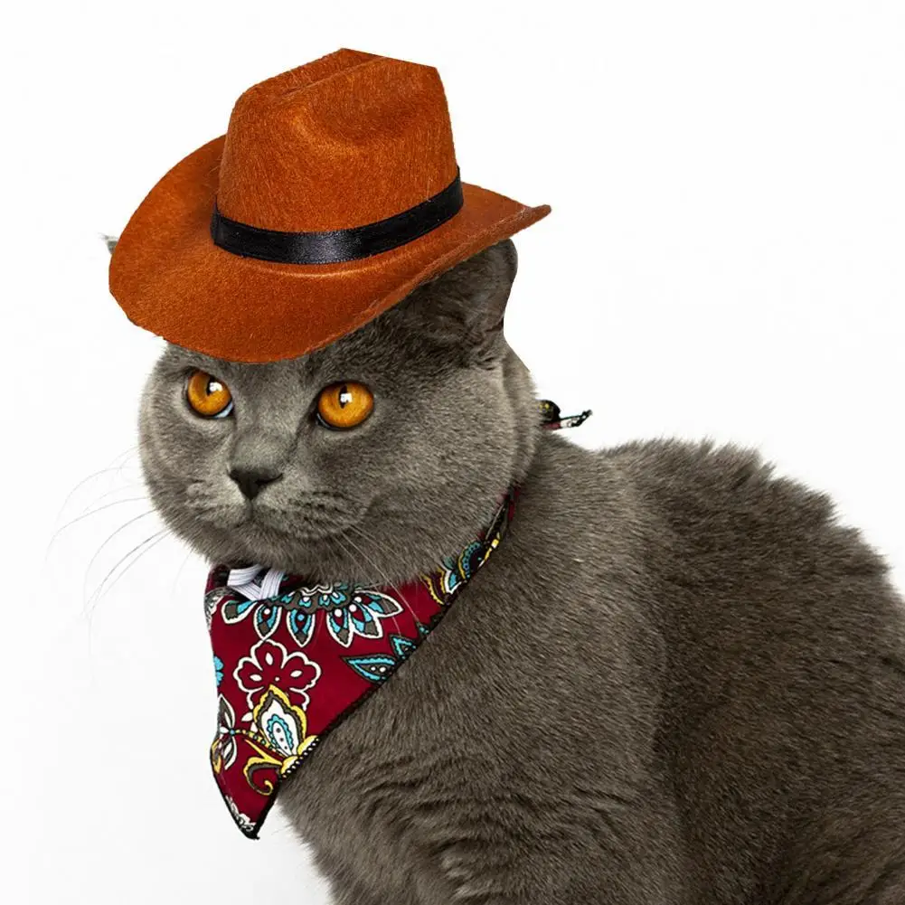 

Useful Dog Straw Hat Comfortable Cool Light Weight Cosplay Cat Straw Hat