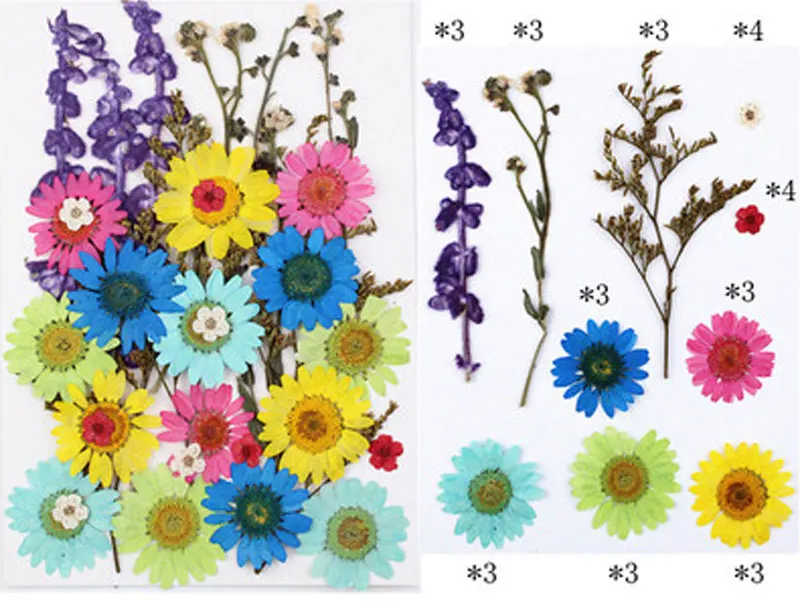 Натуральные сушеные цветы коллекция композиций для Украшения Стеклянных