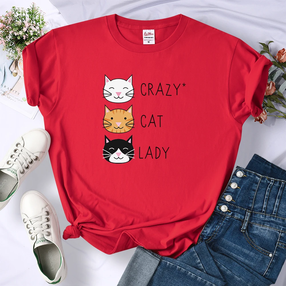 Loose Casual Crazy Cat Lady Cute Hip Hop T Shirts Women Fashion Sweat Clothing Summer Tops New Crewneck Womens T-Shirts | Женская одежда