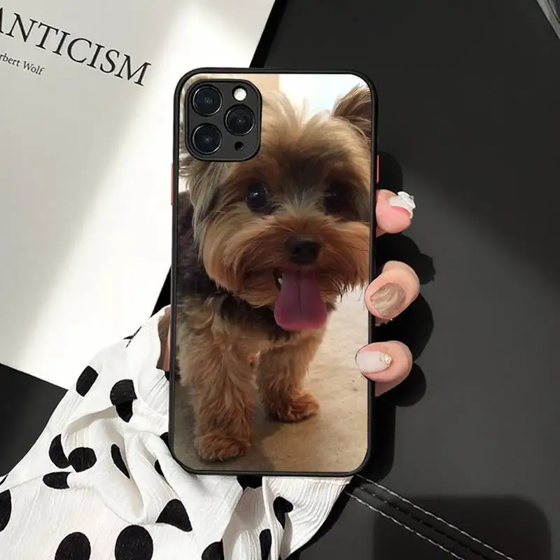 

Phone Case For iPhone 12 11 Mini Pro XR XS Max 7 8 Plus X Yorkshire Terrier dog Matte transparent cover