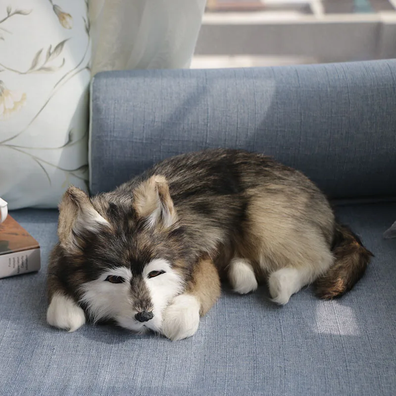 Husky Мягкие и плюшевые животные, меховые игрушки для собак, детский подарок, кукла для собак, милые животные, мягкие животные, украшения, детские развивающие игрушки - Цвет: Husky