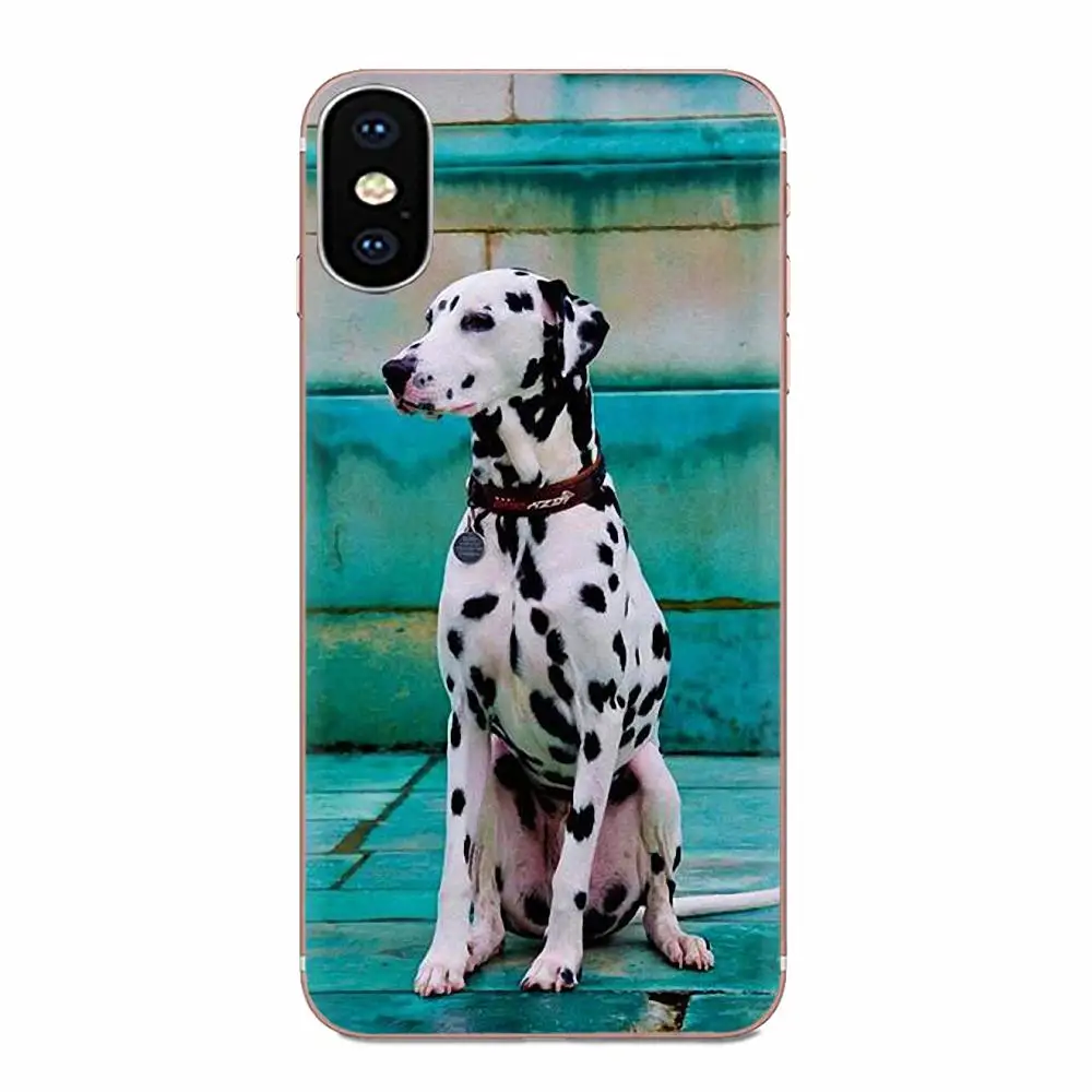For Samsung Galaxy Note 5 8 9 S3 S4 S5 S6 S7 S8 S9 S10 5G mini Edge Plus Lite TPU Screen Protector Black And White Dalmatian Dog | Мобильные