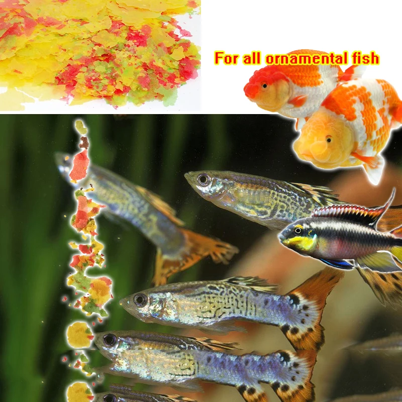 1 шт./10 г новая аквариумная рыба еда креветки тонкий кусок корма Тропические рыбы